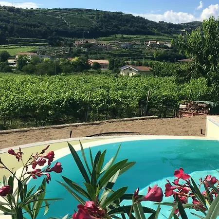 Agora לינה וארוחת בוקר נגראר