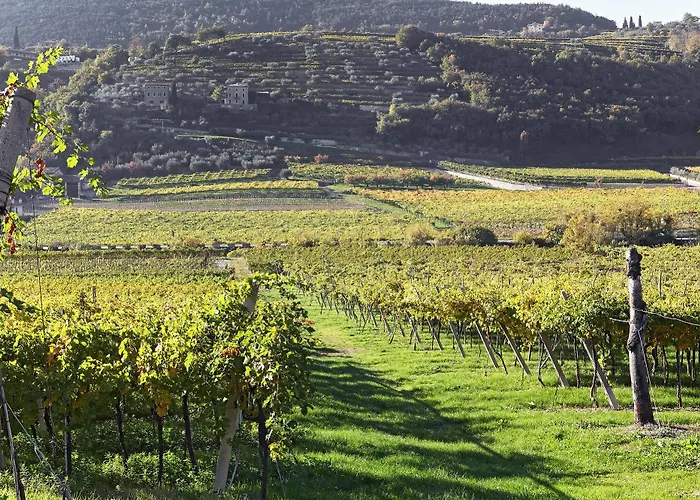 Agora Frühstückspension Negrar