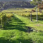 Alojamento de Acomodação e Pequeno-almoço Agorà 4*