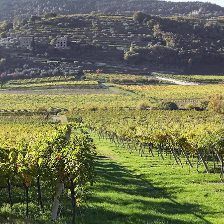 Agora B&B 네그라르