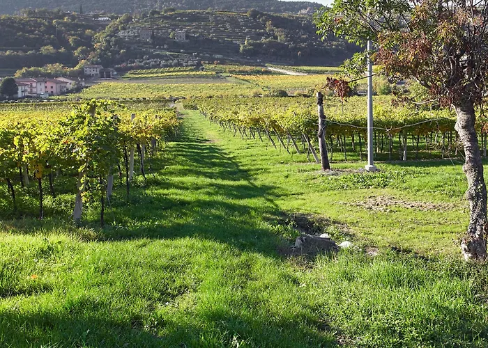 Bed & Breakfast Agora 4*